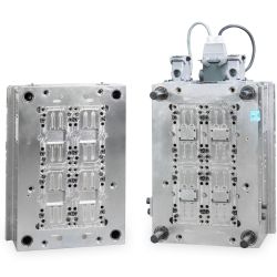 FormConsult Colonne 2 Construction innovante de poids d'outils de construction d'outils classiques 2k et 3k outils de préforme des outils de préforme des formes de soufflage pour les produits pour animaux de compagnie et les éclaboussures